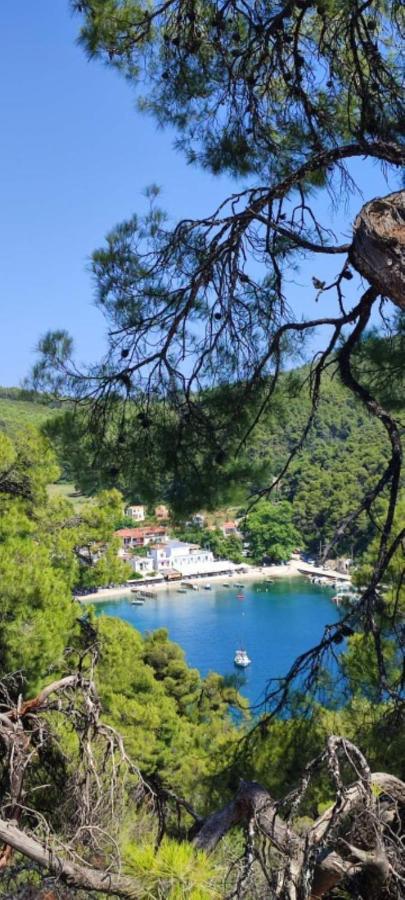 Skopelos Country House Diamantis & Chrisi Agnontas ภายนอก รูปภาพ
